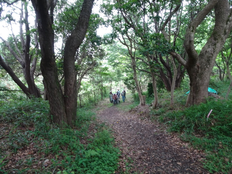 c0108460_00510413.jpg