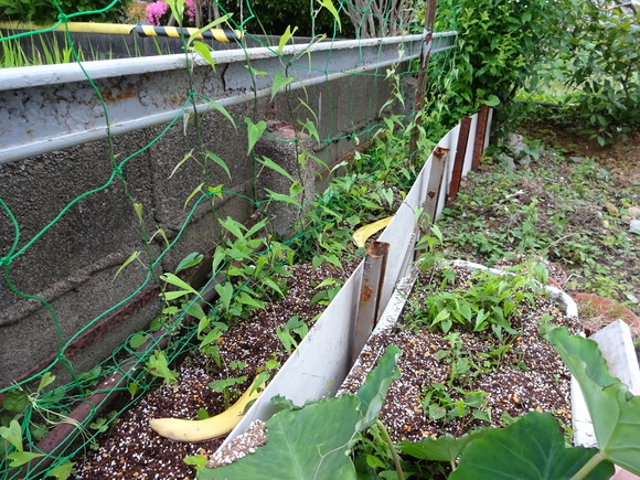 c0245666_18231241.jpg