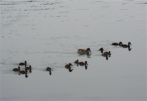 e0357367_052431.jpg