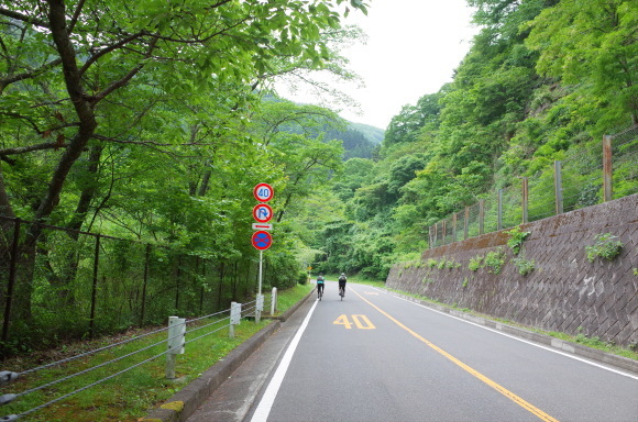 a0232368_13501703.jpeg