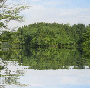 b0149071_16363831.gif