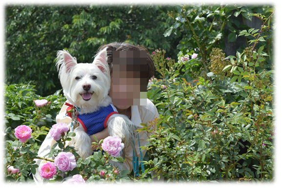 b0242873_13005791.png