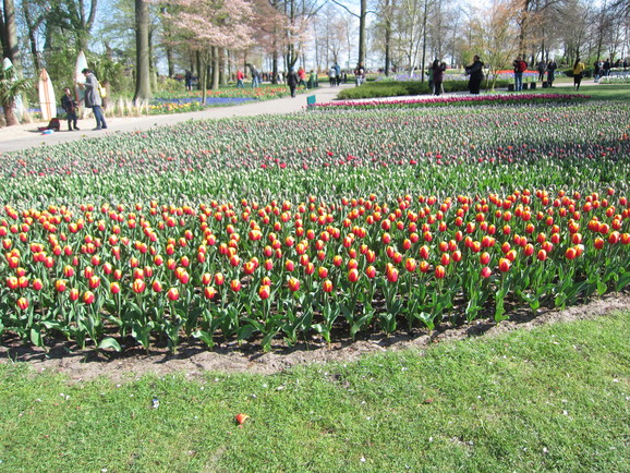 a0226578_9562686.jpg