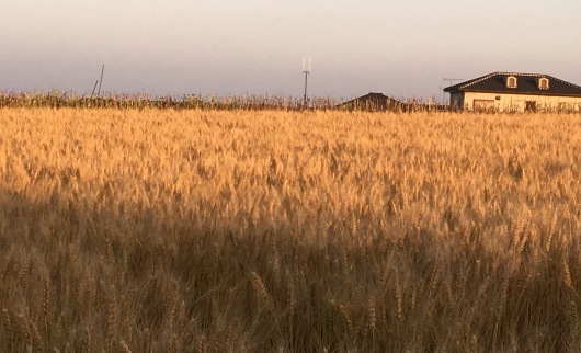 b0336787_20433451.jpeg