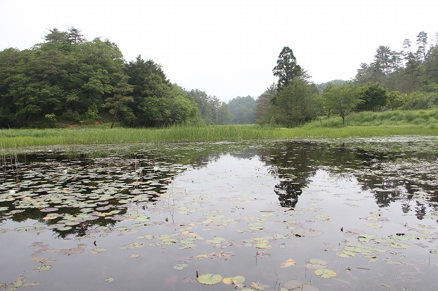 黒沢湿原を守ろう会_d0156387_2118874.jpg