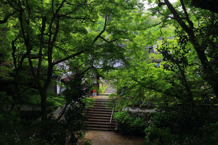 丹州観音寺_e0051888_6344797.jpg