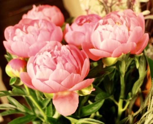 旬のお花 _c0128489_18544323.jpg