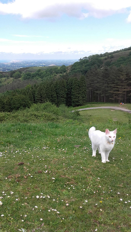 渡欧した猫たちその後、GIG=JAPONYの場合_e0147291_10585162.jpg