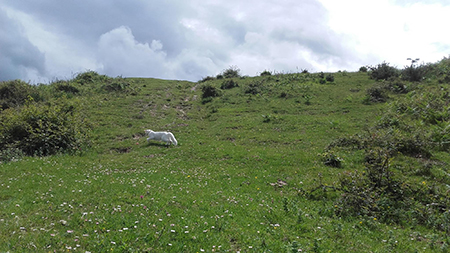 e0147291_1125950.jpg