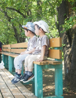 梅雨入り前の公園遊び と 楽天お買い物マラソン⑥～⑩_f0165392_22572073.jpg