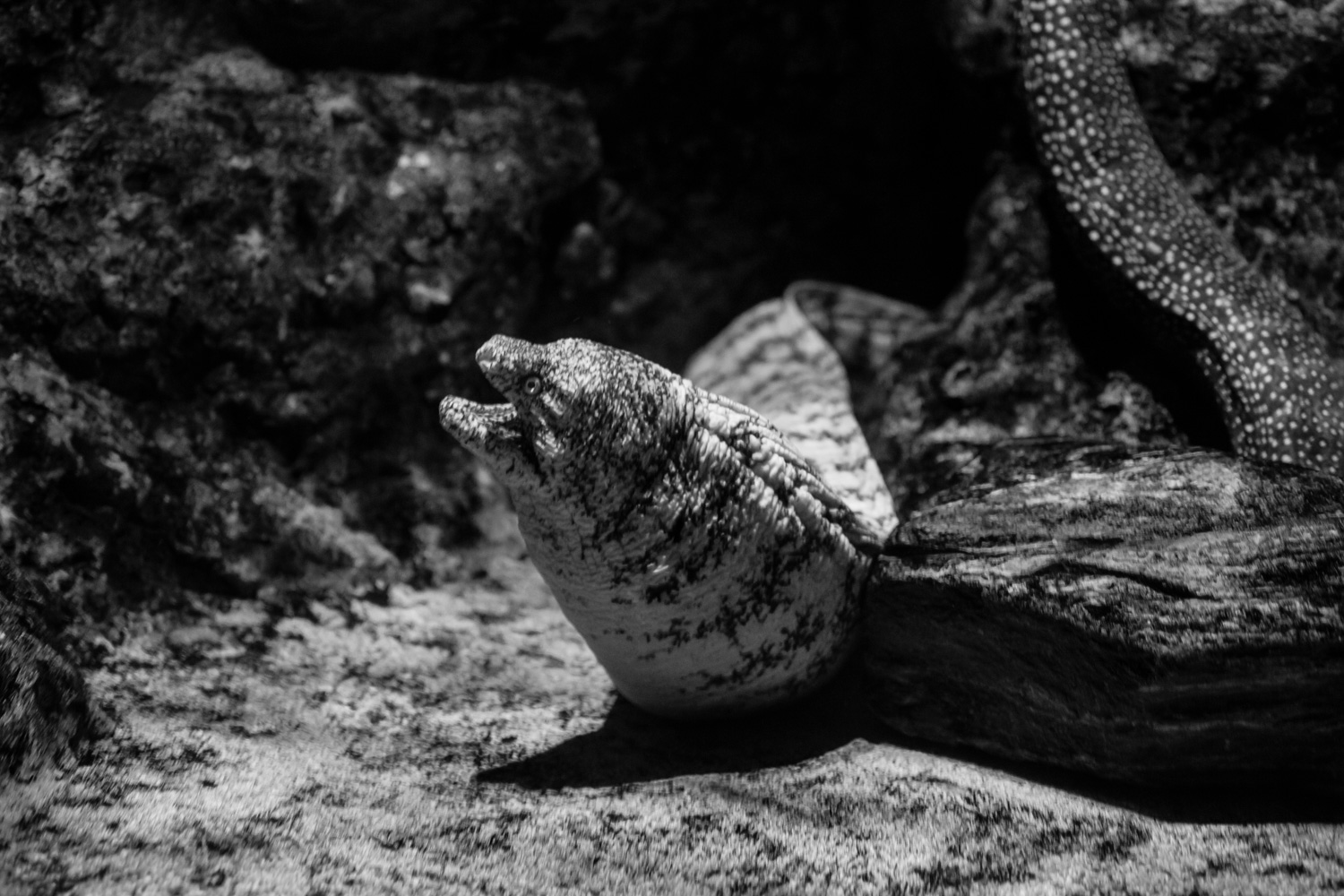 名古屋港水族館４_b0126495_2194345.jpg