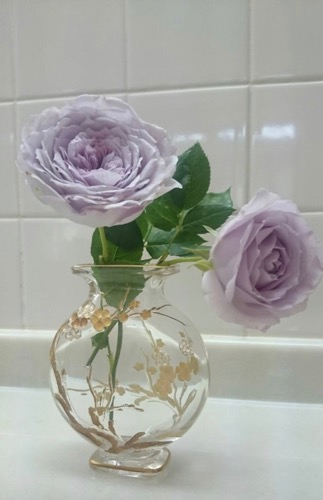 花瓶の行方_c0108595_033112.jpg