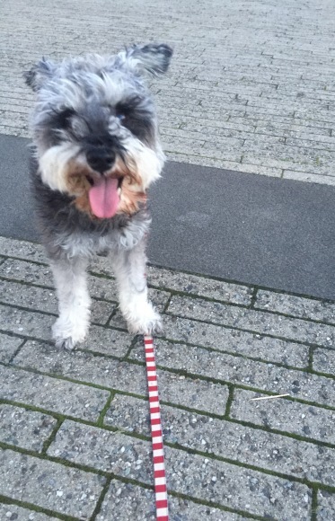 b0188998_23202050.jpeg