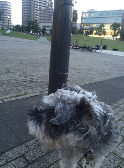 b0188998_23210196.jpeg