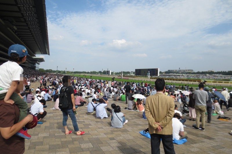 d0335701_19591588.jpg