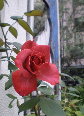 f0206605_2129564.jpg