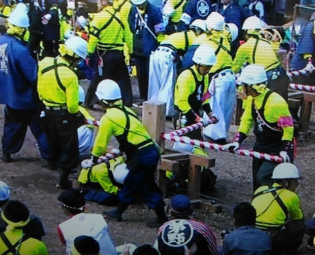 諏訪大社　御柱祭　メーンイベント「建御柱」_a0354506_08530784.jpg