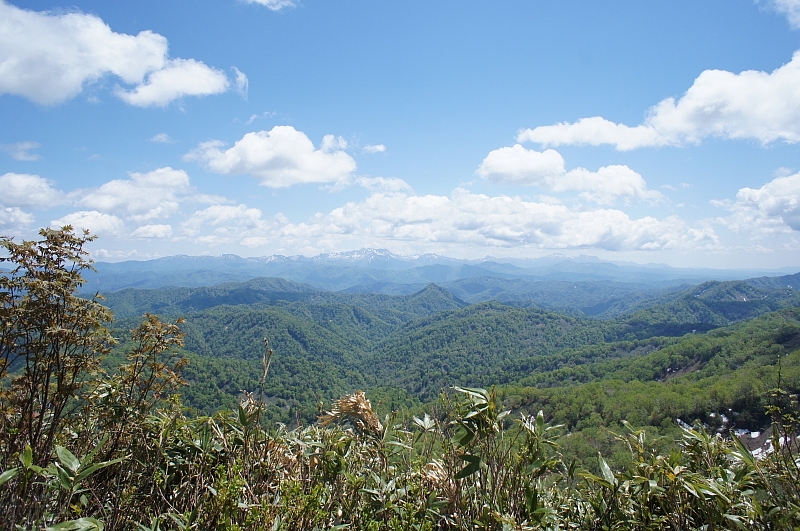 美唄山987m★晴天無風★2016.5.29_a0248508_716367.jpg