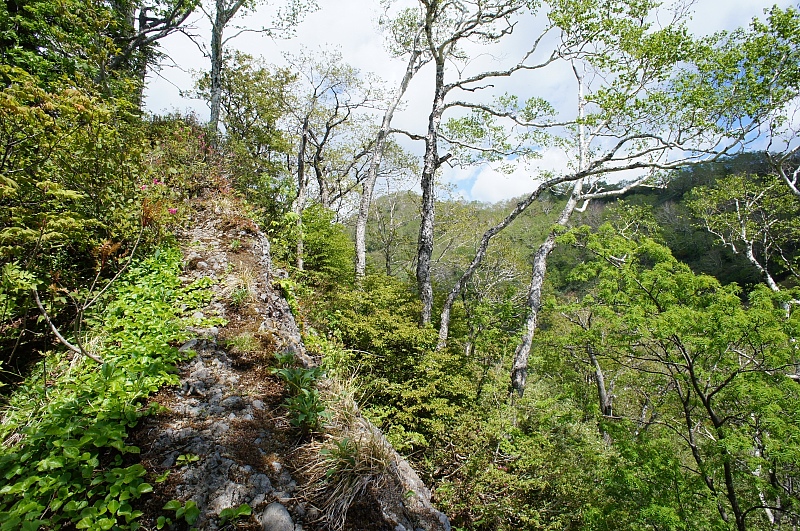 a0248508_7182559.jpg