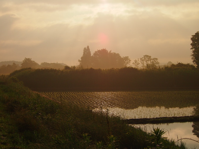 d0048812_10253065.jpg