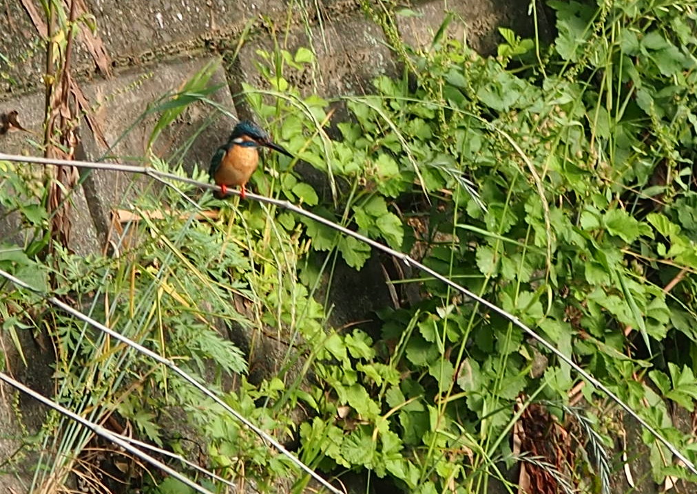 d0048812_10304216.jpg