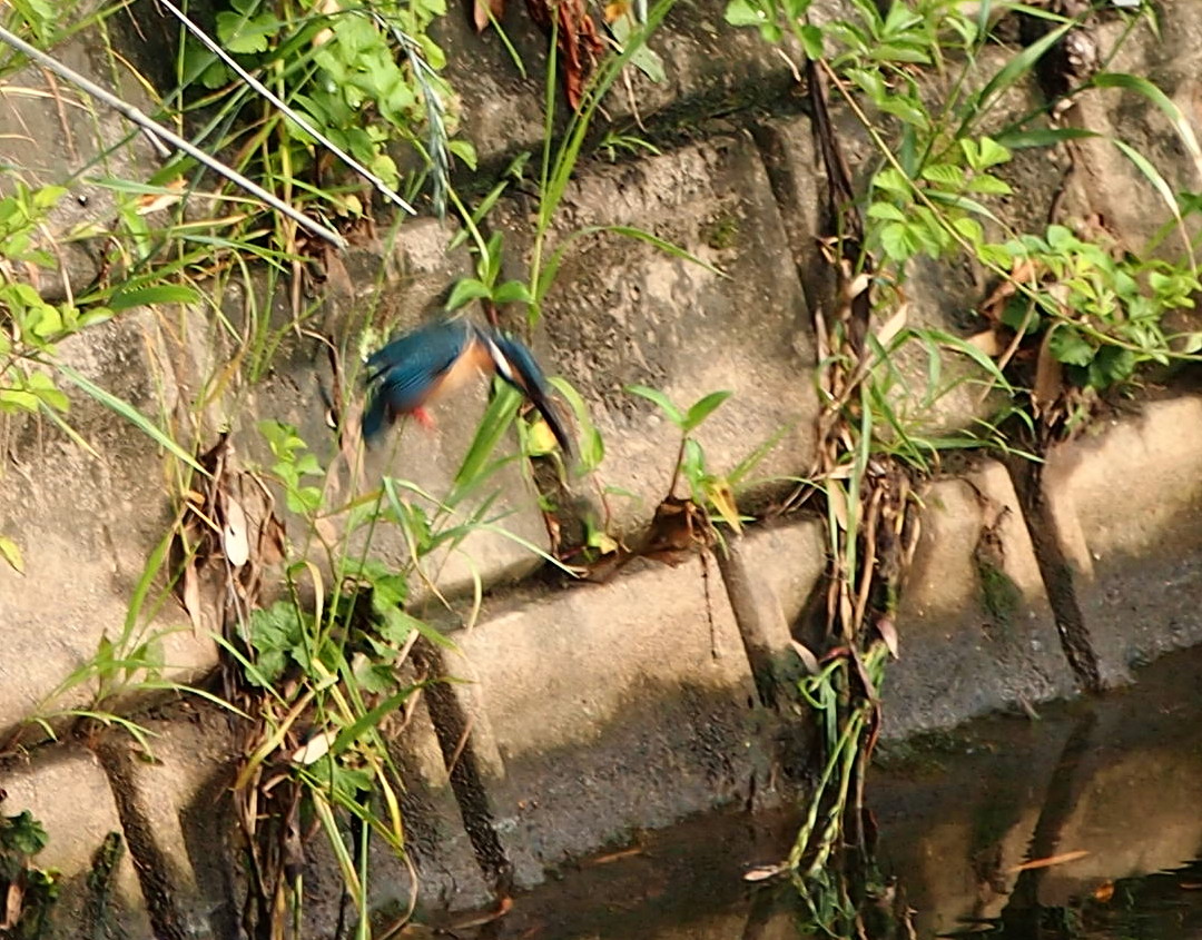 d0048812_10324513.jpg