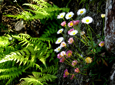 a0238314_10361033.jpg