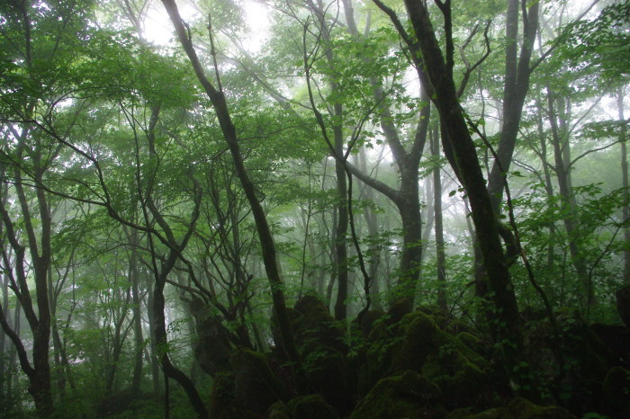 d0341514_21270266.jpg