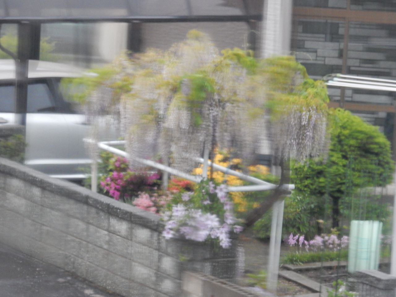 突然の豪雨と雷_c0025115_21160642.jpg