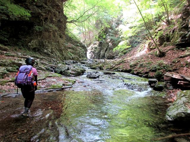 奥秩父　中津川大若沢で沢登り　　　　　 Stream Climbing in Ōwakasawa, Chichibu-Tama-Kai NP　　　　_f0308721_16415766.jpg