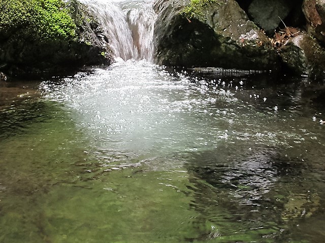 奥秩父　中津川大若沢で沢登り　　　　　 Stream Climbing in Ōwakasawa, Chichibu-Tama-Kai NP　　　　_f0308721_16565548.jpg