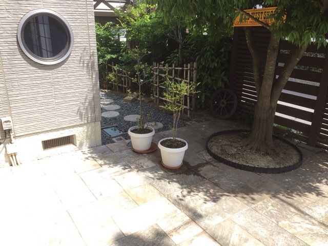 f0067528_21110003.jpeg