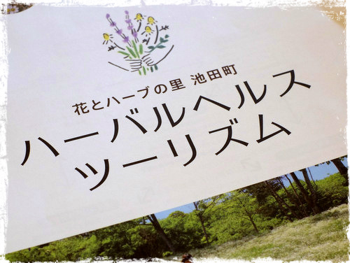 「長野・池田町 池田町ハーブセンターとあずみ野池田クラフトパーク」_a0000029_1364877.jpg
