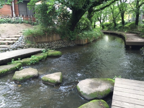 魅力再発見！生田緑地（３）登戸駅から二ヶ領用水へ_b0330040_23272749.jpeg