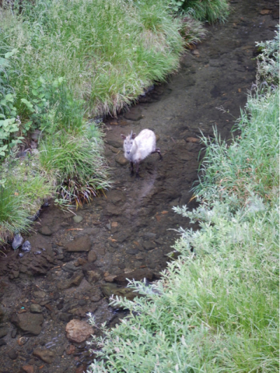 早起きは◯◯の得！ 続き。_b0136045_06390315.jpg