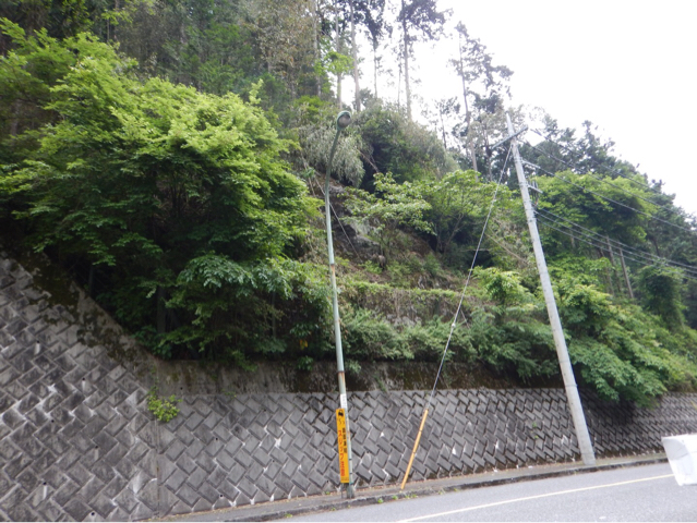 早起きは◯◯の得！ 続き。_b0136045_06531739.jpg