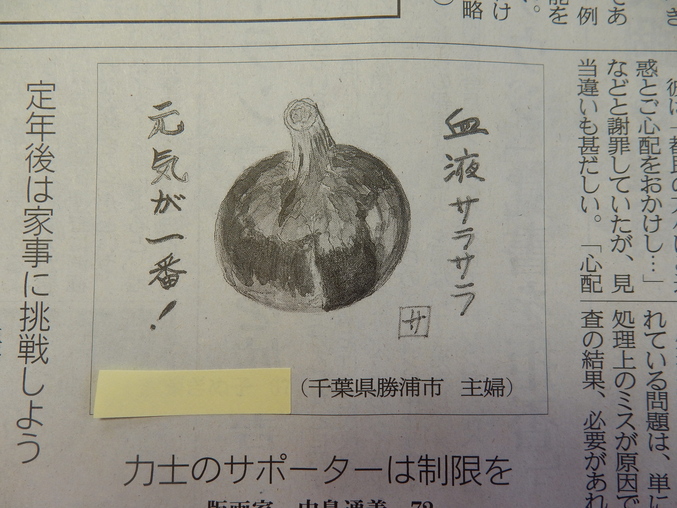 ’16,5,31(火)紫玉ねぎの絵が新聞に載ったYO!_f0060461_1135319.jpg