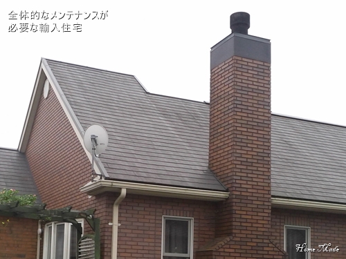 どこまでやるか。それが問題だ_c0108065_13531264.jpg