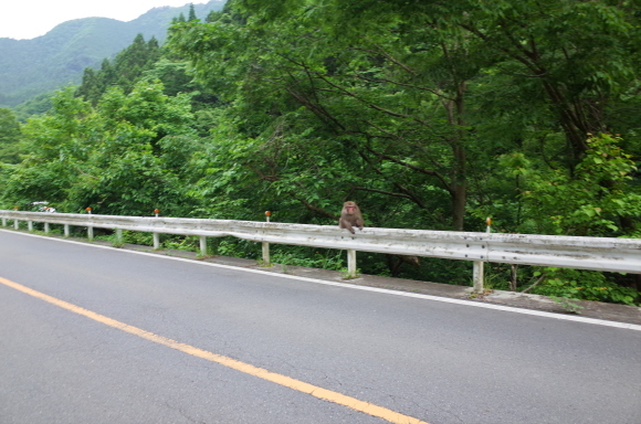 a0232368_04591968.jpeg