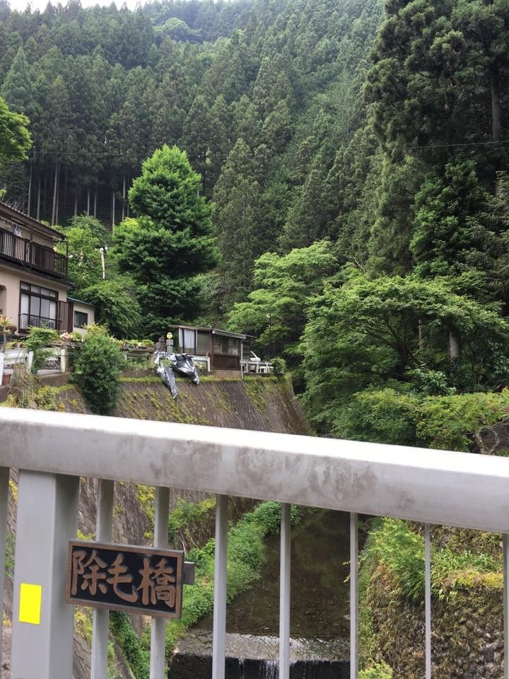 a0232368_08153513.jpeg
