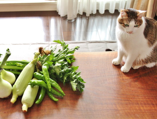 マルシェの野菜で晩ごはん_f0183274_22383961.jpg