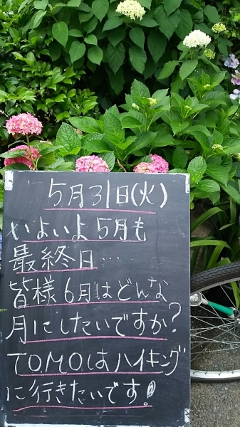 5月も終わります!_f0152875_08392401.jpg