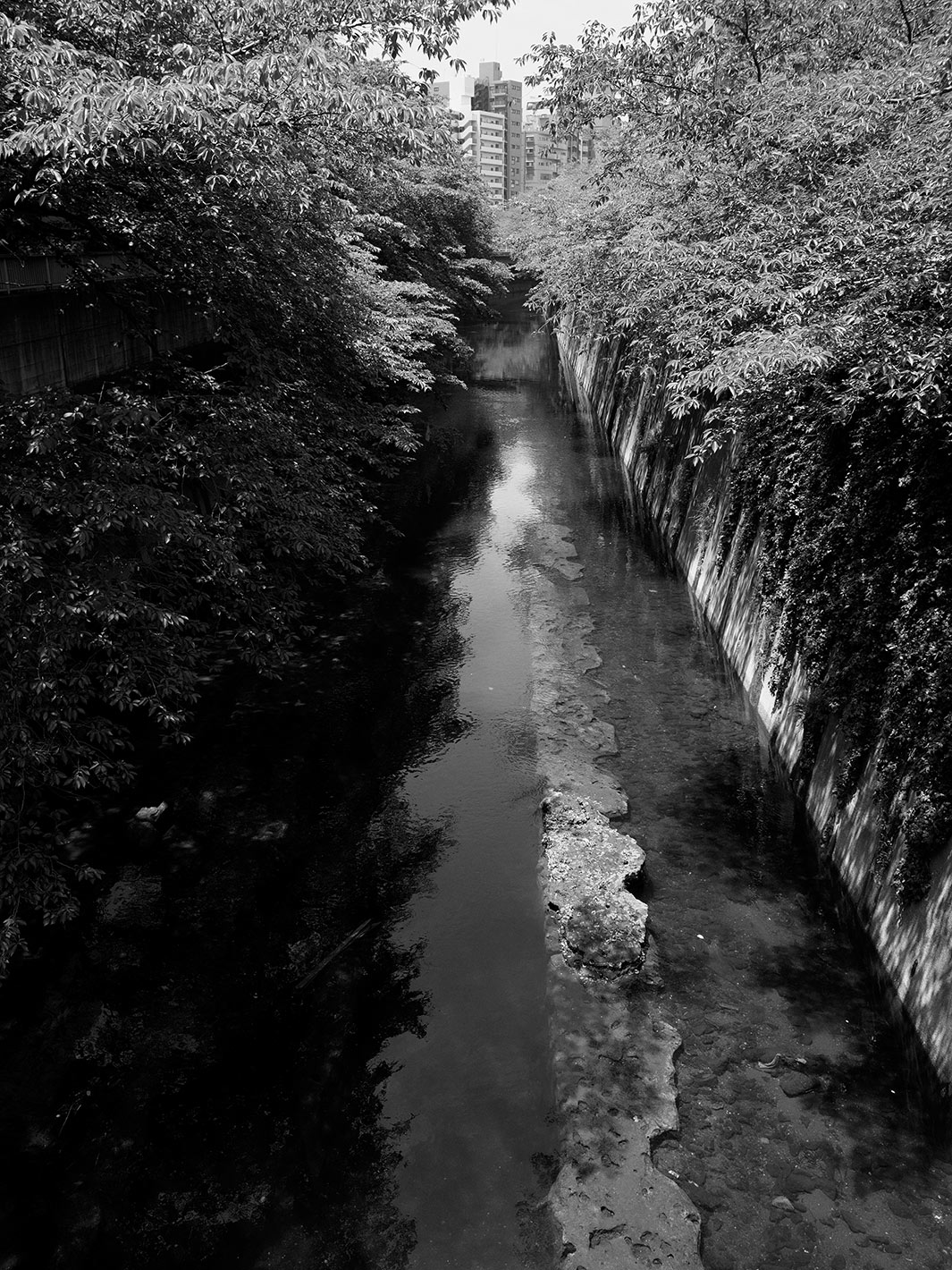 f0121181_438819.jpg