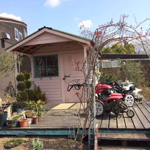 b0090883_12125455.jpeg