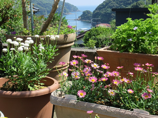 b0182884_20464425.jpg