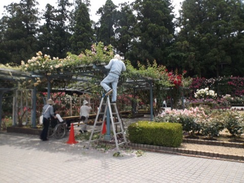 d0115985_09142086.jpeg
