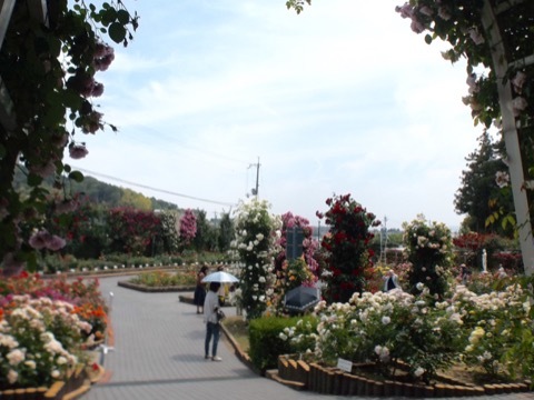 d0115985_09150896.jpeg