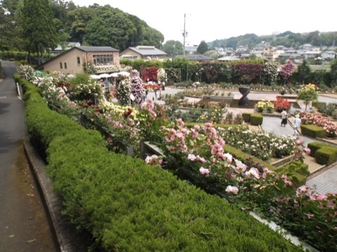 d0115985_09152472.jpeg