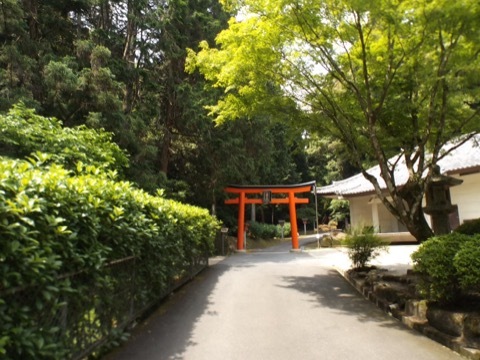 d0115985_09160445.jpeg