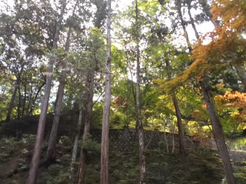 d0115985_09165935.jpeg